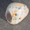 Agate