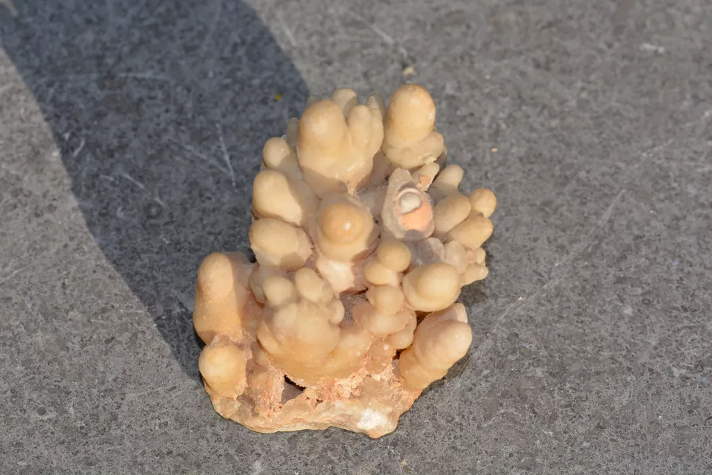 Agate Tubulaire