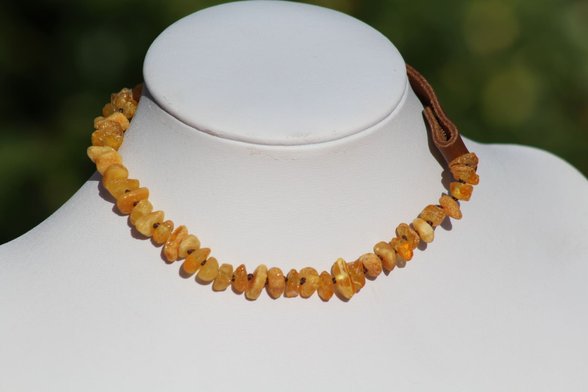 Collier ambre pour animaux