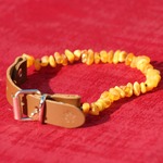 Collier ambre pour animaux