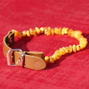 Collier ambre pour animaux