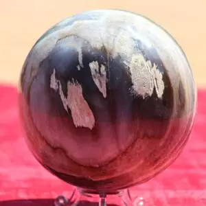 Bois silicifié