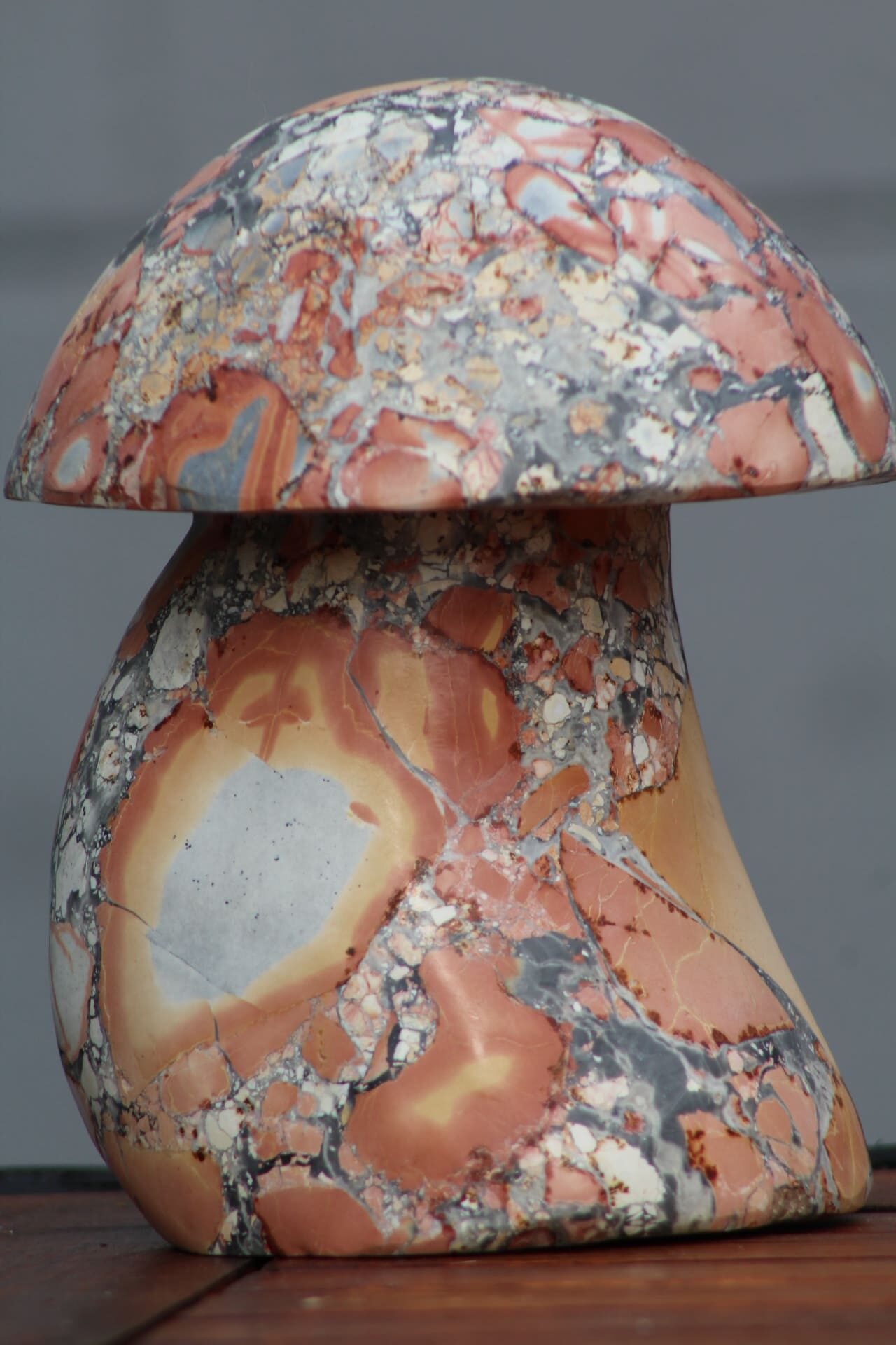 Champignon en jaspe Maligano