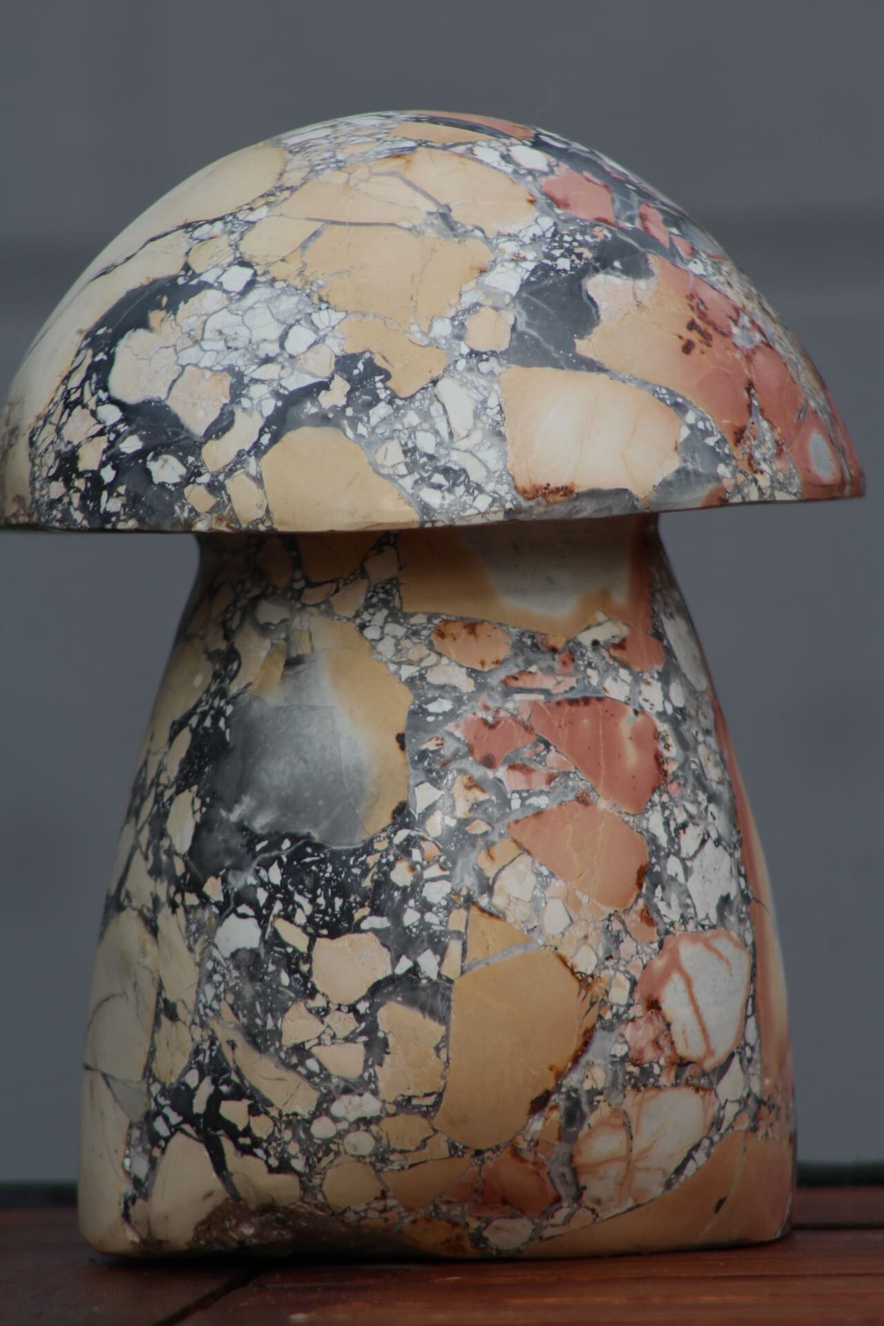 Champignon en jaspe Maligano