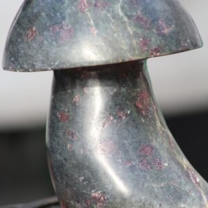 Rubis Zoisite