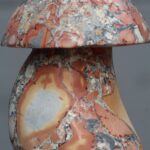 Champignon en jaspe Maligano