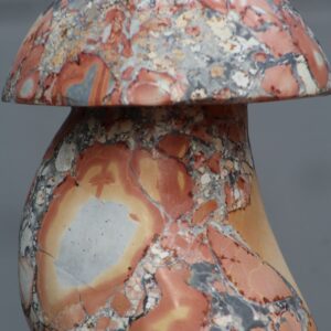 Champignon en jaspe Maligano